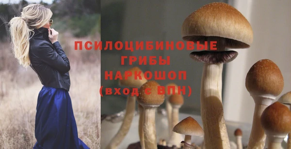 синтетический гашиш Алексин