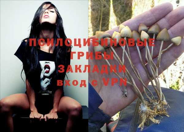 синтетический гашиш Алексин