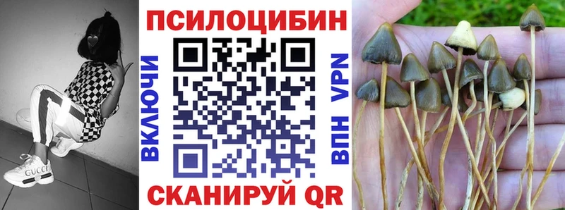 Псилоцибиновые грибы GOLDEN TEACHER Себеж