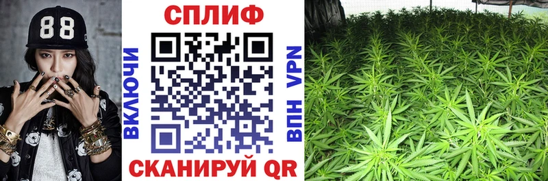 Каннабис тримм  ссылка на мегу вход  Себеж  наркошоп 